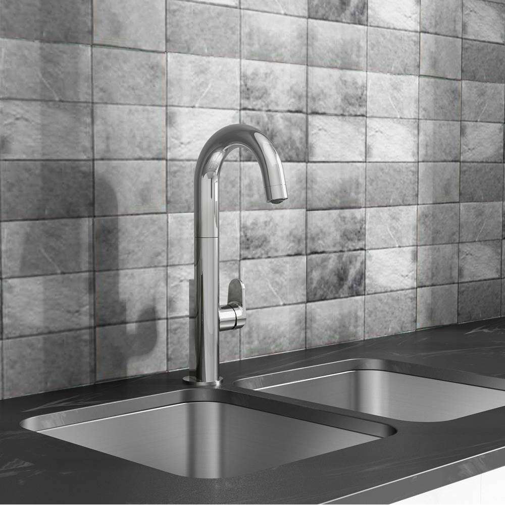 American Standard  Kitchen Faucets item 4931410.002
