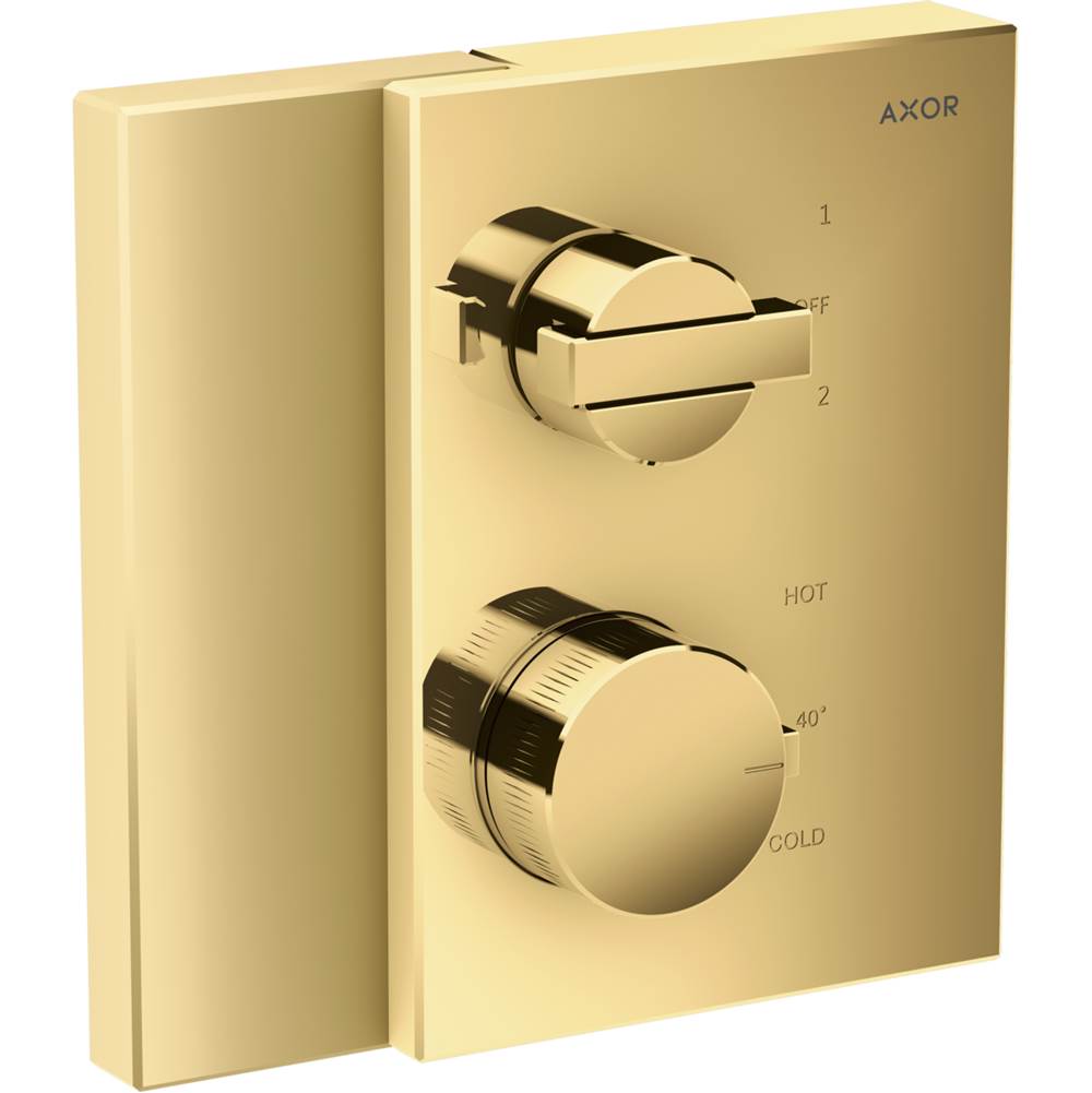 Axor Thermostatic Valve Trim Shower Faucet Trims item 46760991