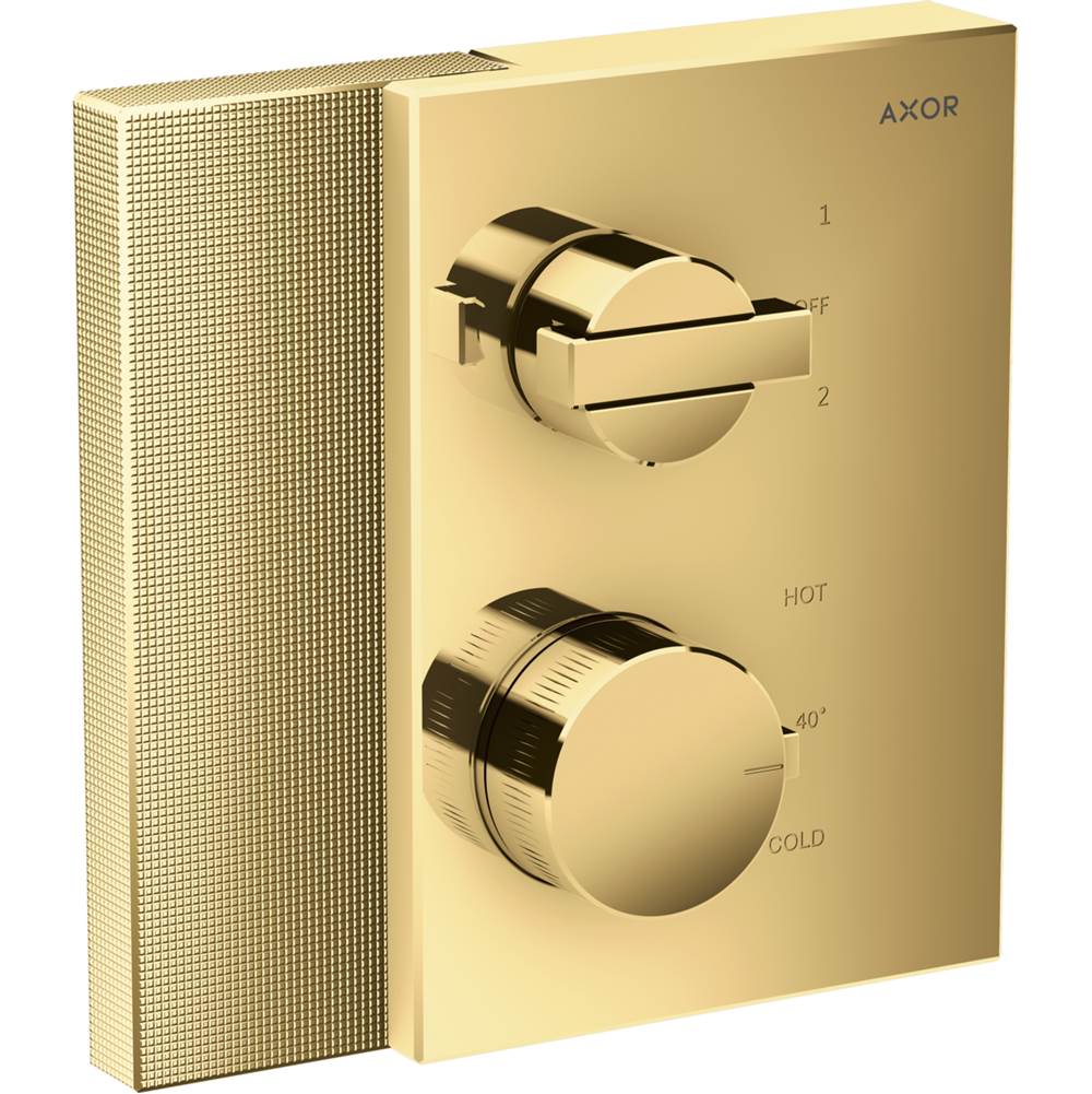 Axor Thermostatic Valve Trim Shower Faucet Trims item 46761991