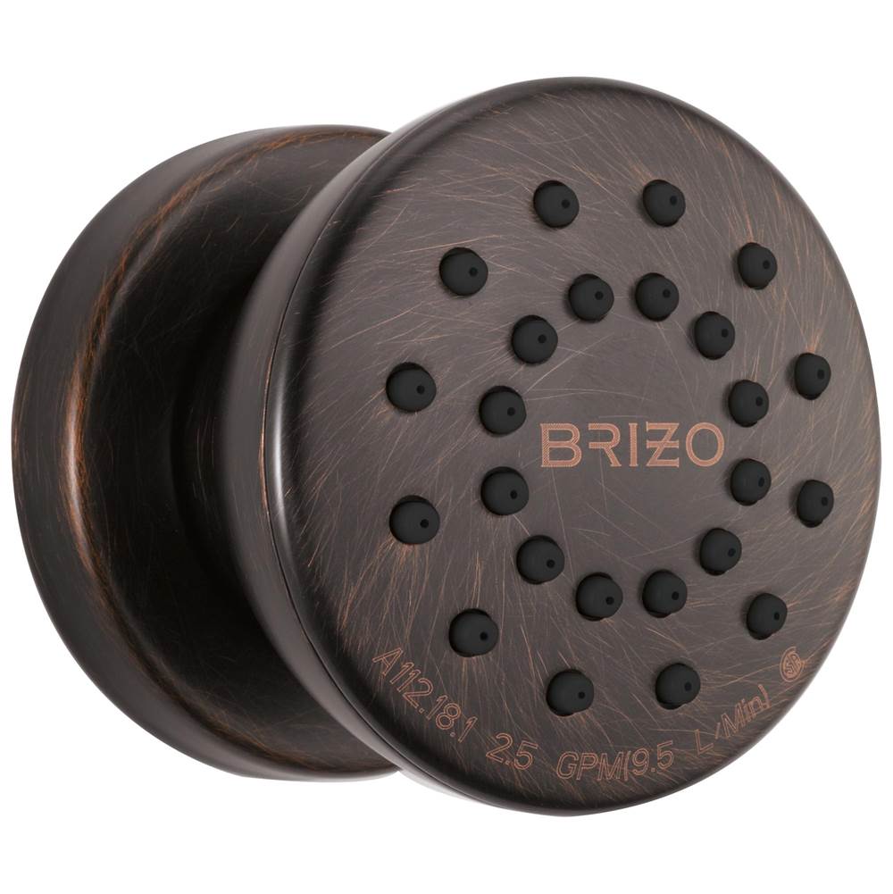 Brizo Bodysprays Shower Heads item 84110-RB