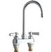 Chicago Faucets - 895-GN2AE3ABCP - Commercial Fixtures