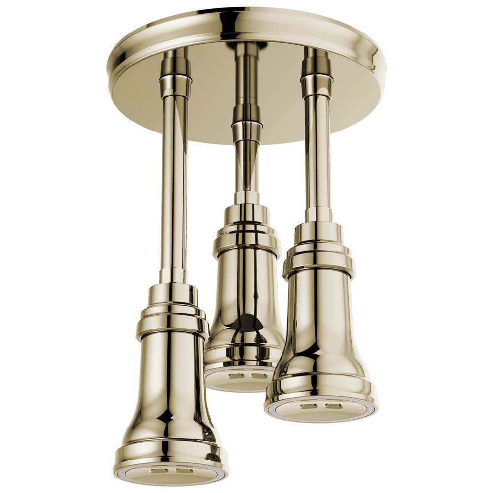 Delta Faucet  Shower Heads item 57190-PN25-L
