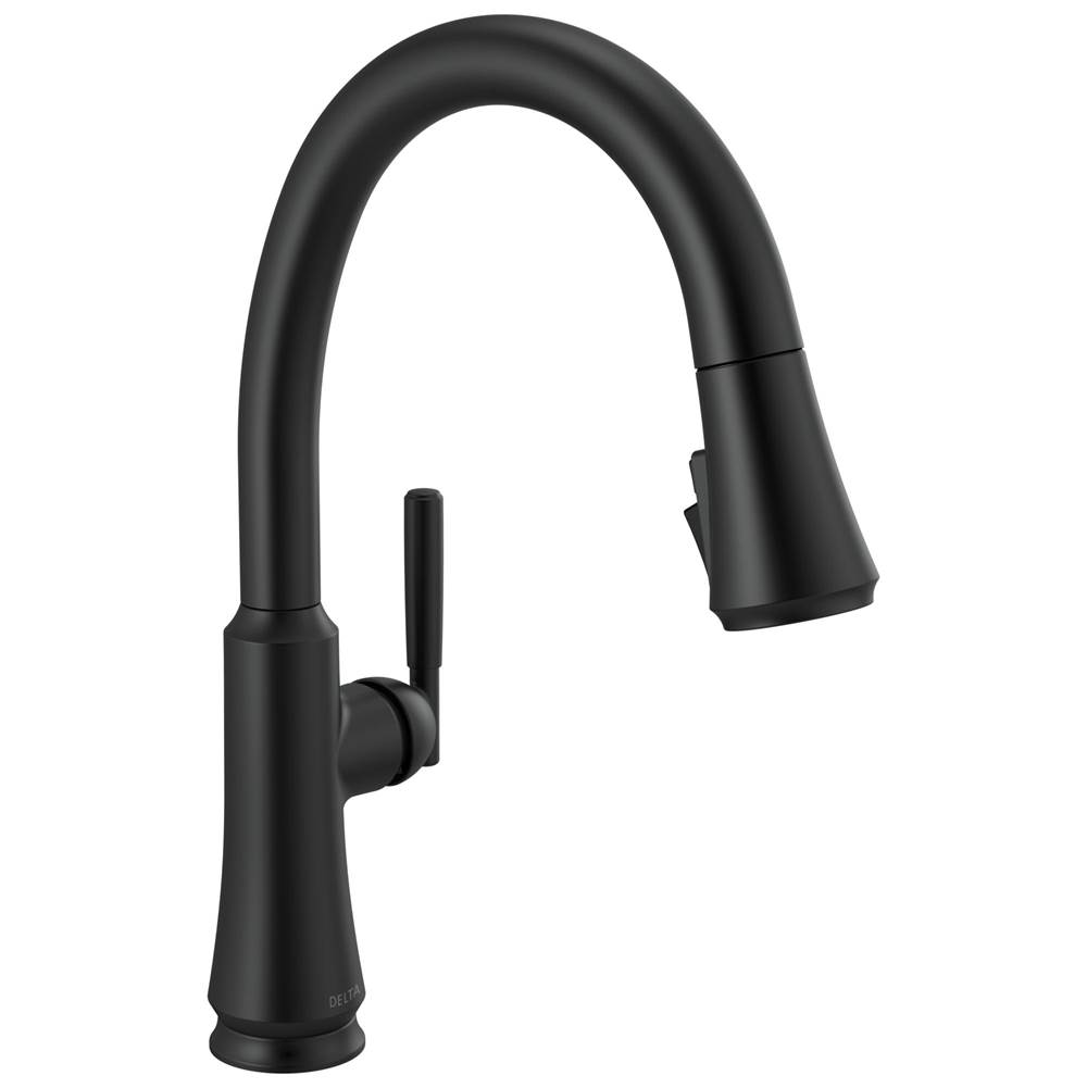 Delta Faucet Retractable Faucets Kitchen Faucets item 9179-BL-DST