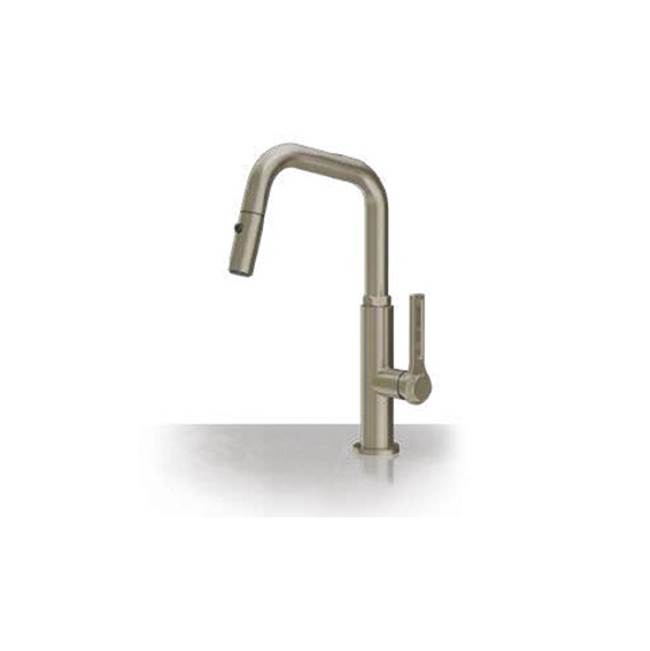 Gessi Single Hole Kitchen Faucets item PF60060#299