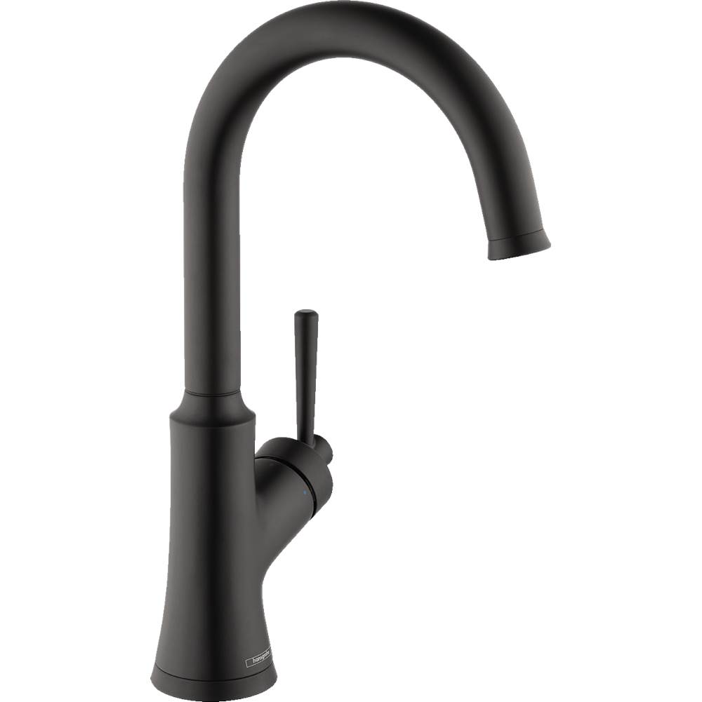 Hansgrohe  Kitchen Faucets item 04795670