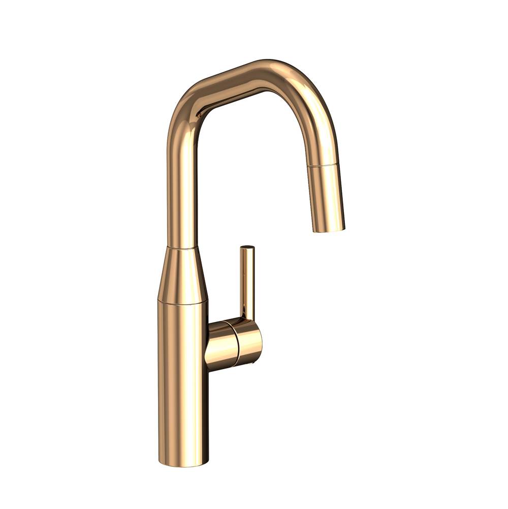 Newport Brass Retractable Faucets Kitchen Faucets item 1400-5113/24A