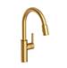 Newport Brass - 1500-5103/10 - Single Hole Kitchen Faucets