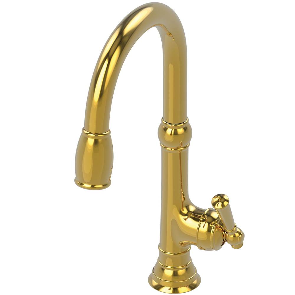 Newport Brass Single Hole Kitchen Faucets item 2470-5103/24