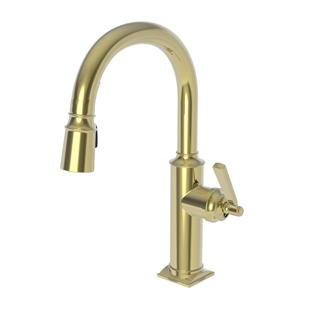 Newport Brass Pull Down Bar Faucets Bar Sink Faucets item 3170-5203/03N