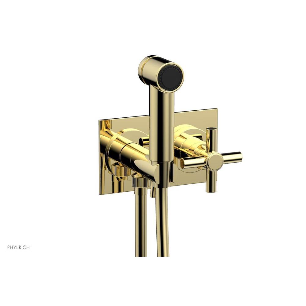 Phylrich Wall Mounted Bidet Faucets item 134-65/003